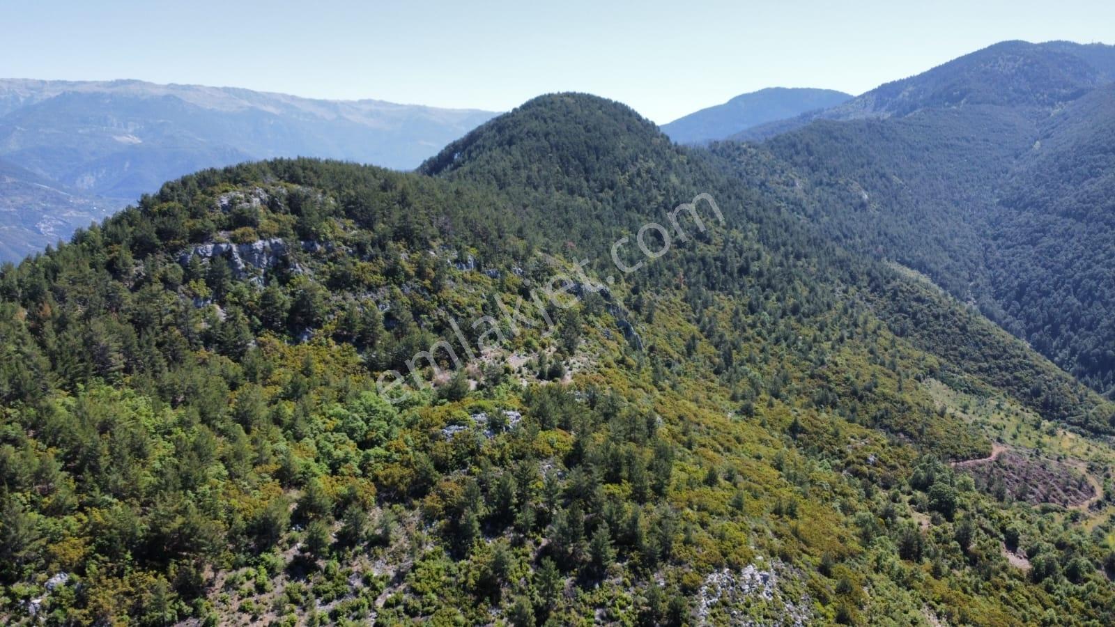 Gazipaşa Gürçam Mahallesi'nde Satılık Tarla — fotoğraf 2