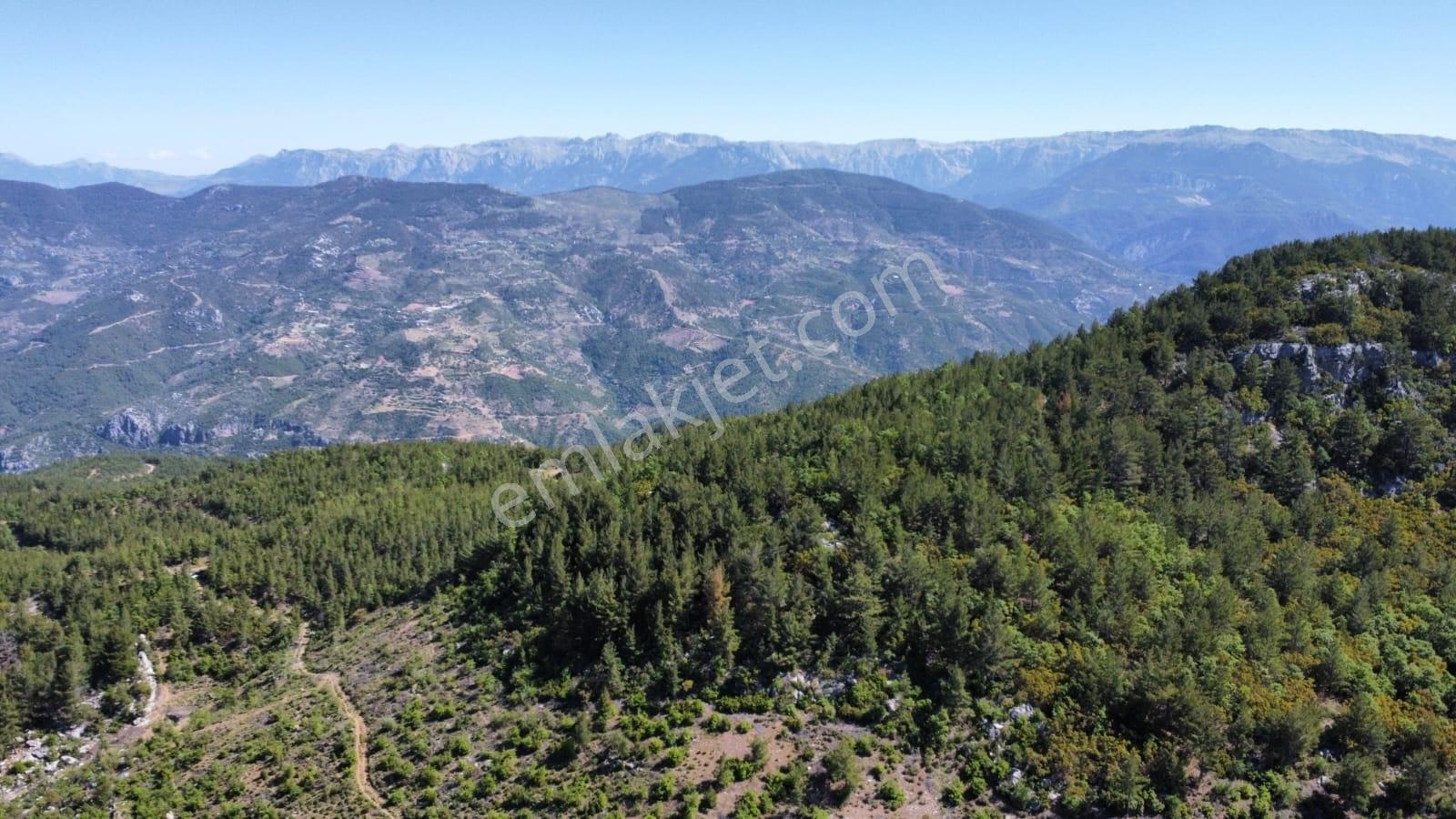Gazipaşa Gürçam Mahallesi'nde Satılık Tarla — fotoğraf 3