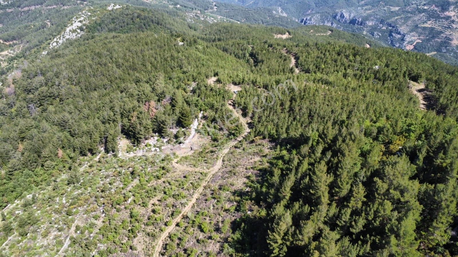 Gazipaşa Gürçam Mahallesi'nde Satılık Tarla — fotoğraf 5