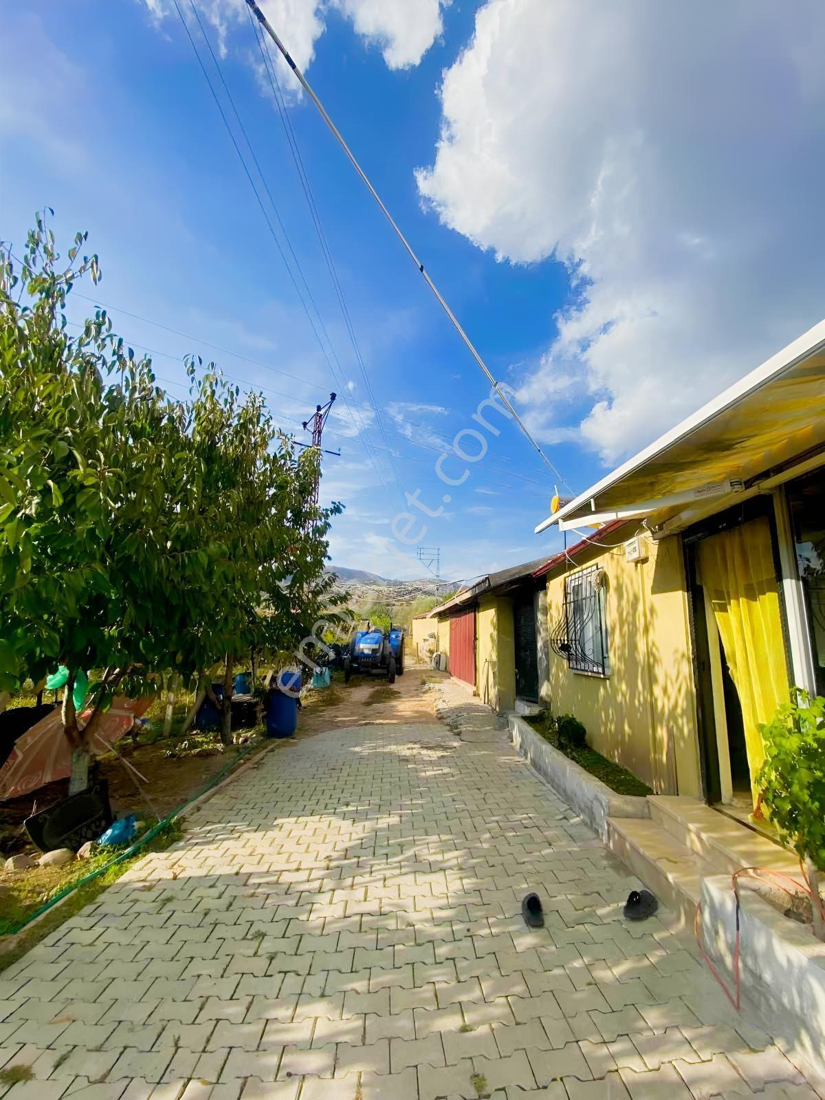 Marka'dan Göynücek'te Takasa Açık Yüksek Kapasiteli Üzüm Bağı — fotoğraf 6