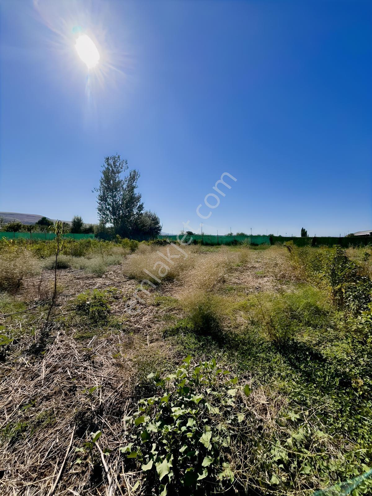 Kentpark Kooperatifinde Satılık Hobi Bahçesi — fotoğraf 4