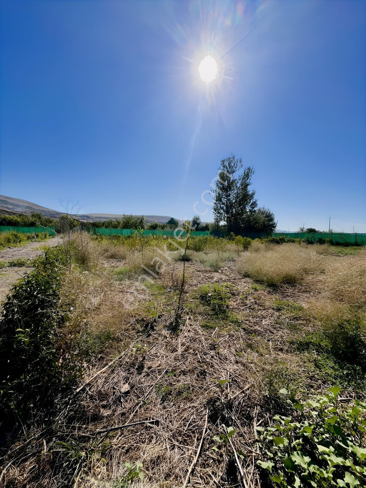 Kentpark Kooperatifinde Satılık Hobi Bahçesi — fotoğraf 5