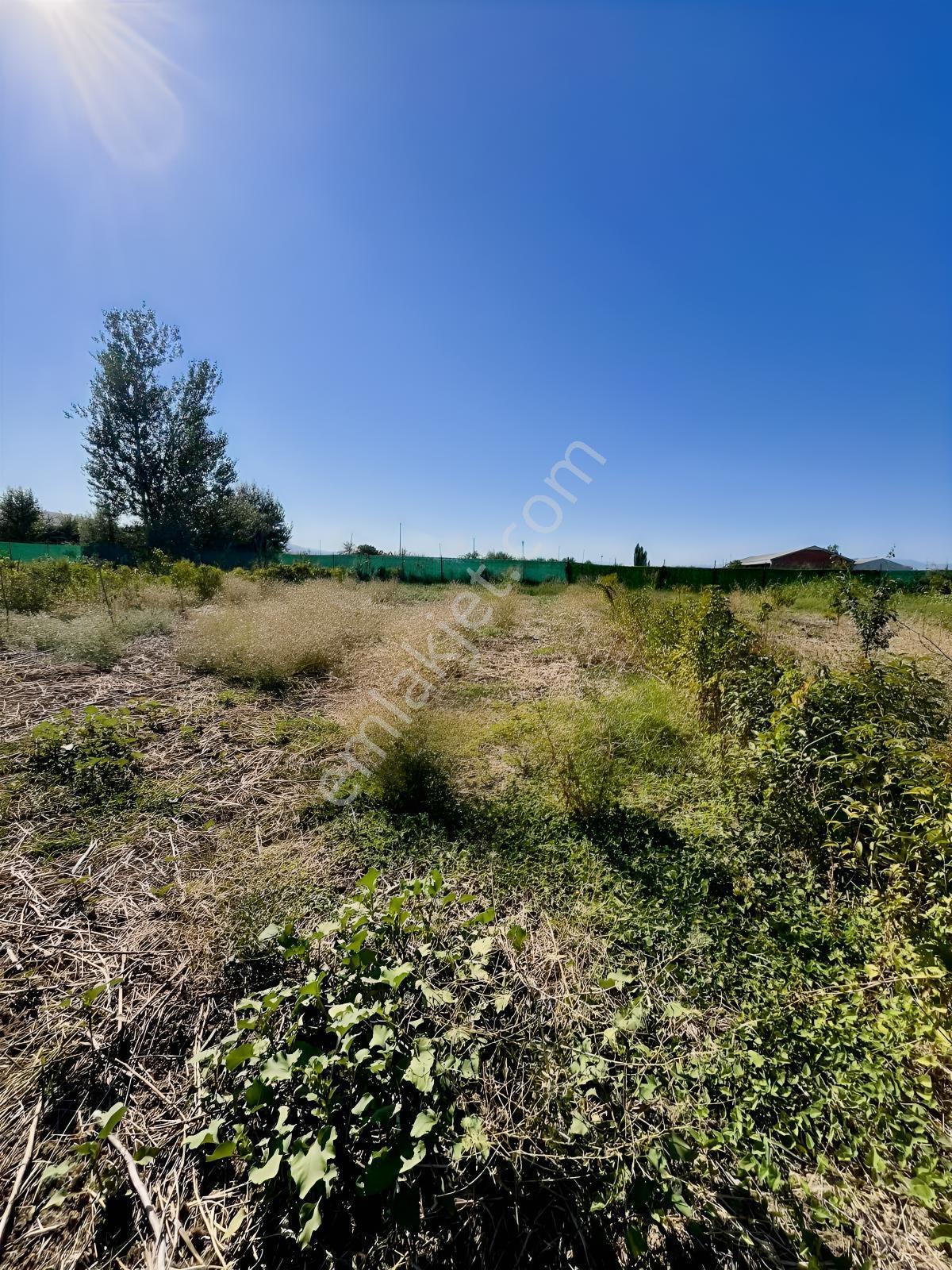 Kentpark Kooperatifinde Satılık Hobi Bahçesi — fotoğraf 6