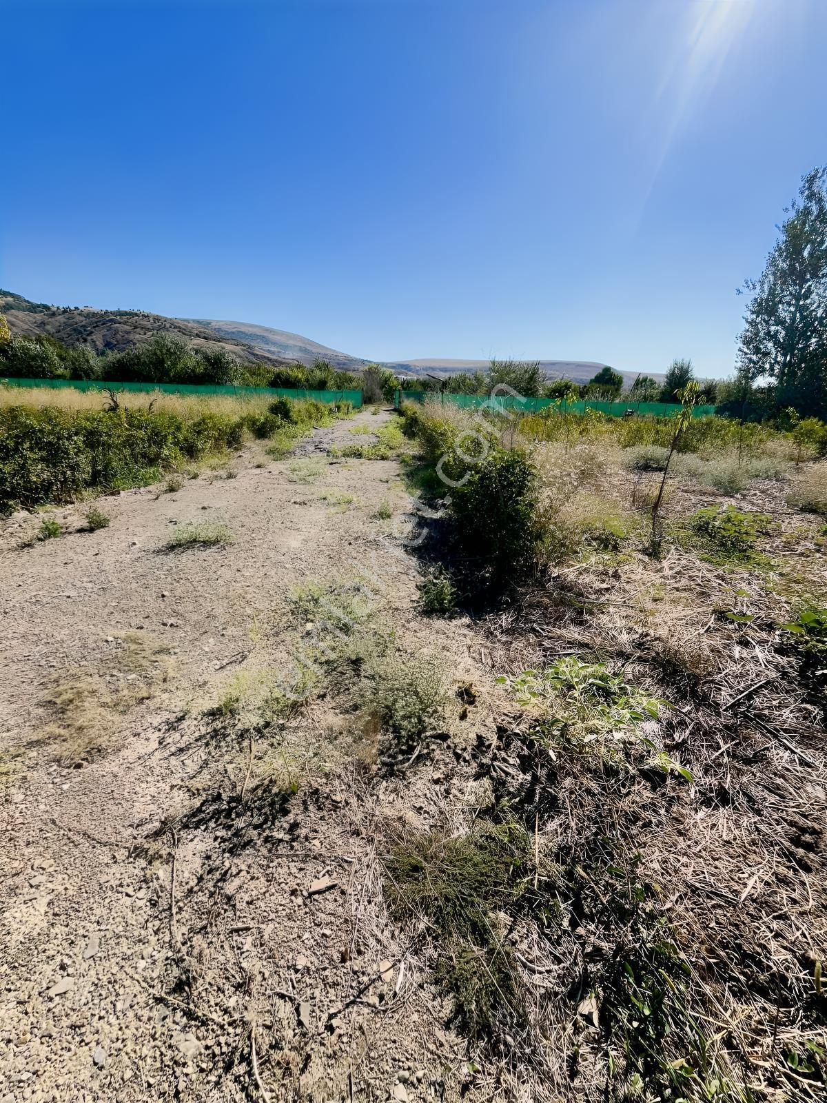 Kentpark Kooperatifinde Satılık Hobi Bahçesi — fotoğraf 7