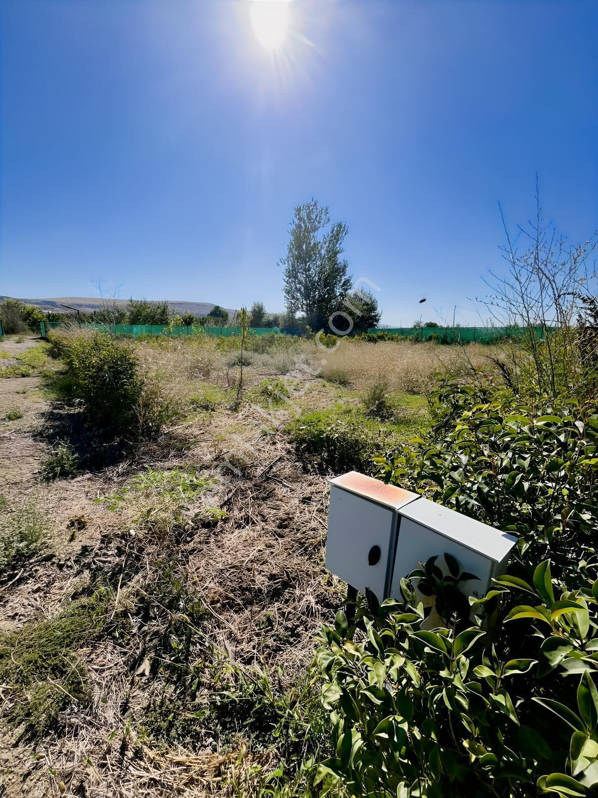 Kentpark Kooperatifinde Satılık Hobi Bahçesi — fotoğraf 8