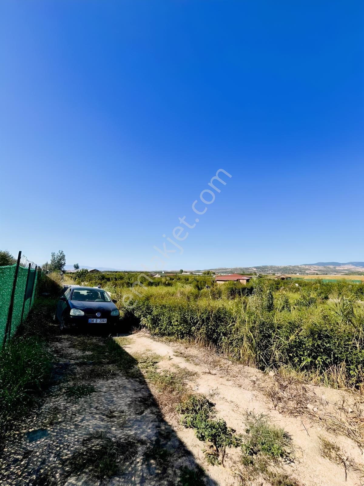 Kentpark Kooperatifinde Satılık Hobi Bahçesi — fotoğraf 14