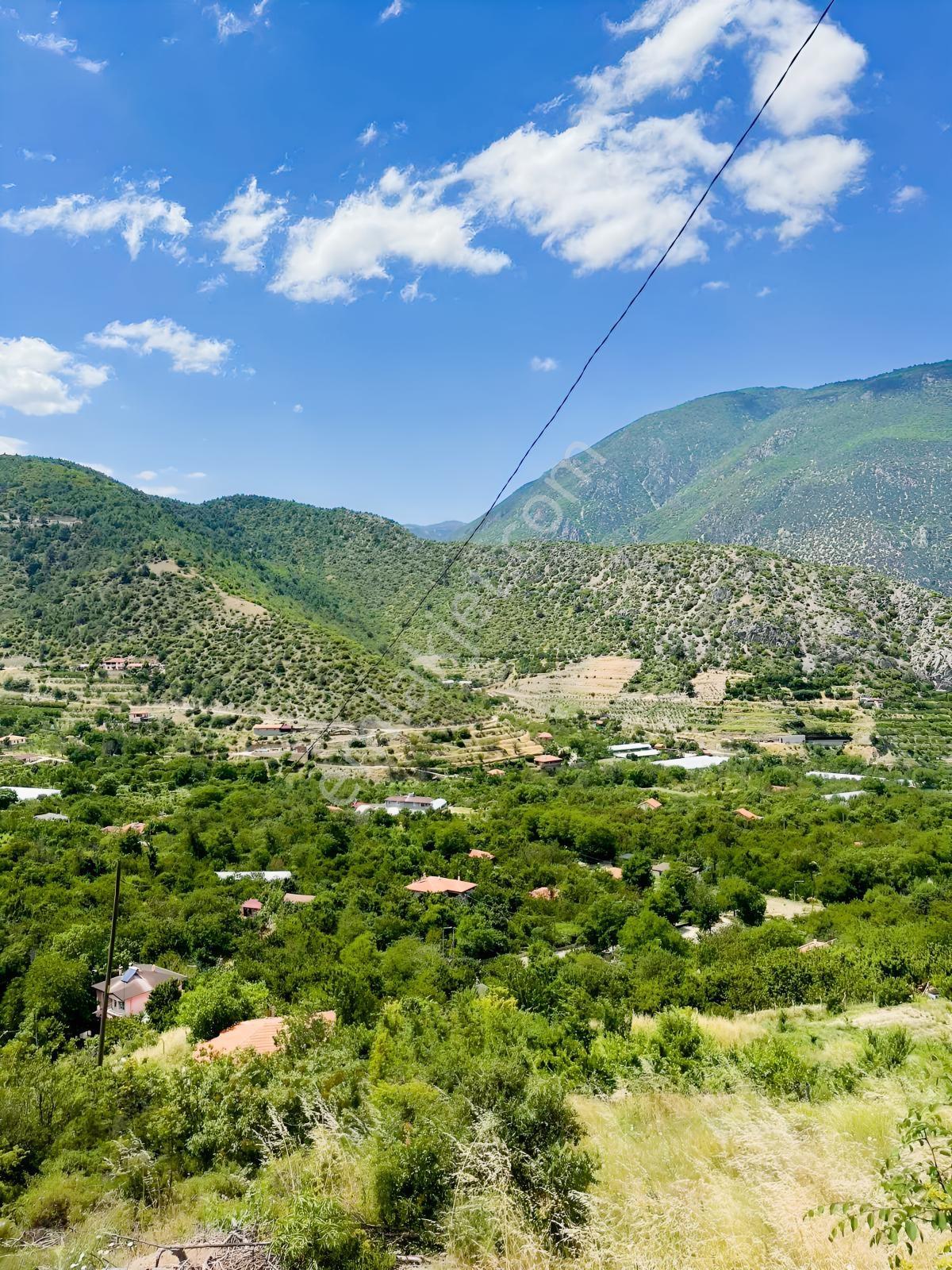 Yeşil Yenicede Marka'dan Acil Fırsat Bahçe — fotoğraf 5