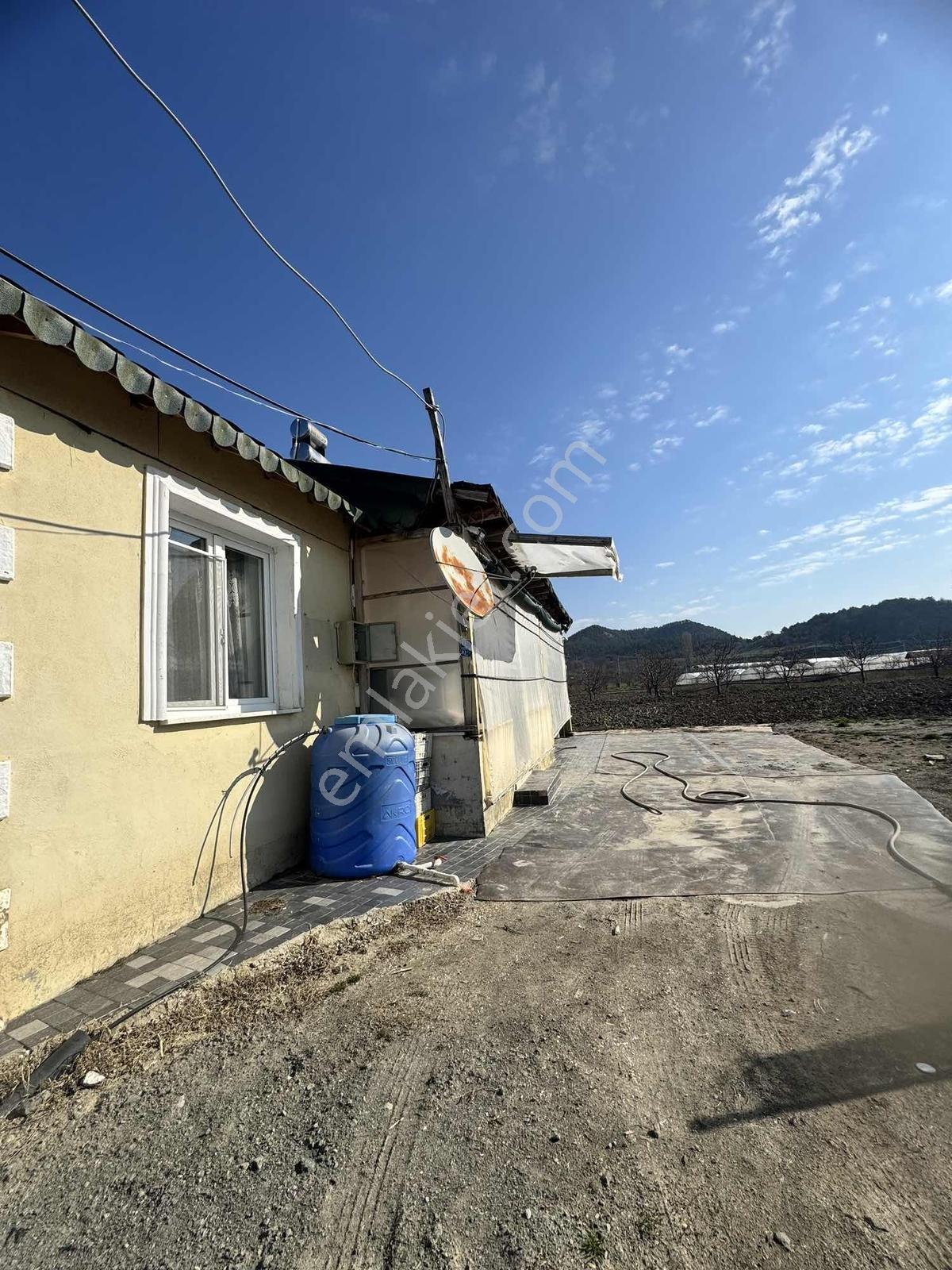 Marka Dan Sevincerde Ana Cadde Altında