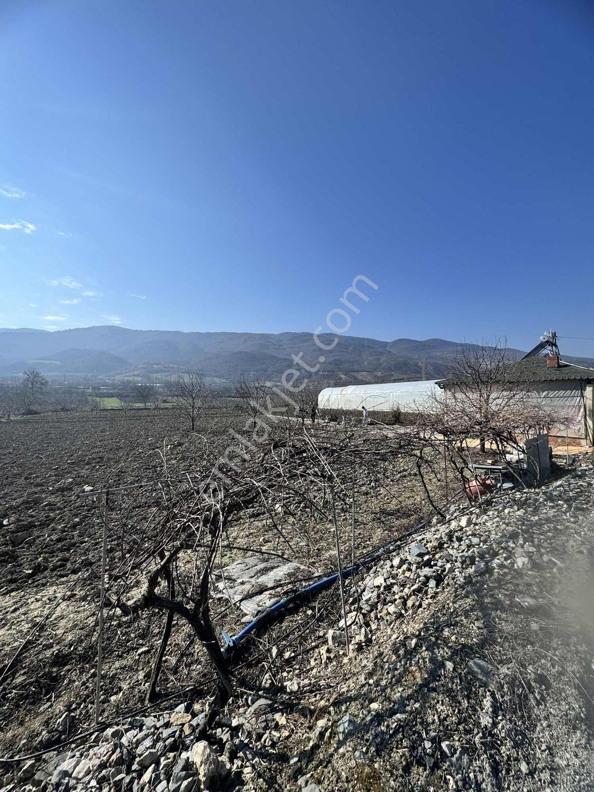 Marka Dan Sevincerde Ana Cadde Altında — fotoğraf 5