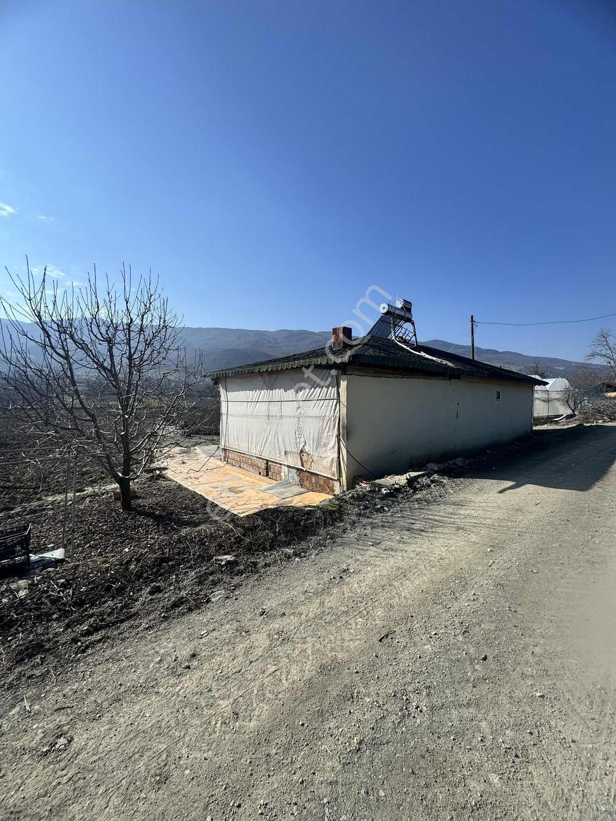 Marka Dan Sevincerde Ana Cadde Altında — fotoğraf 6