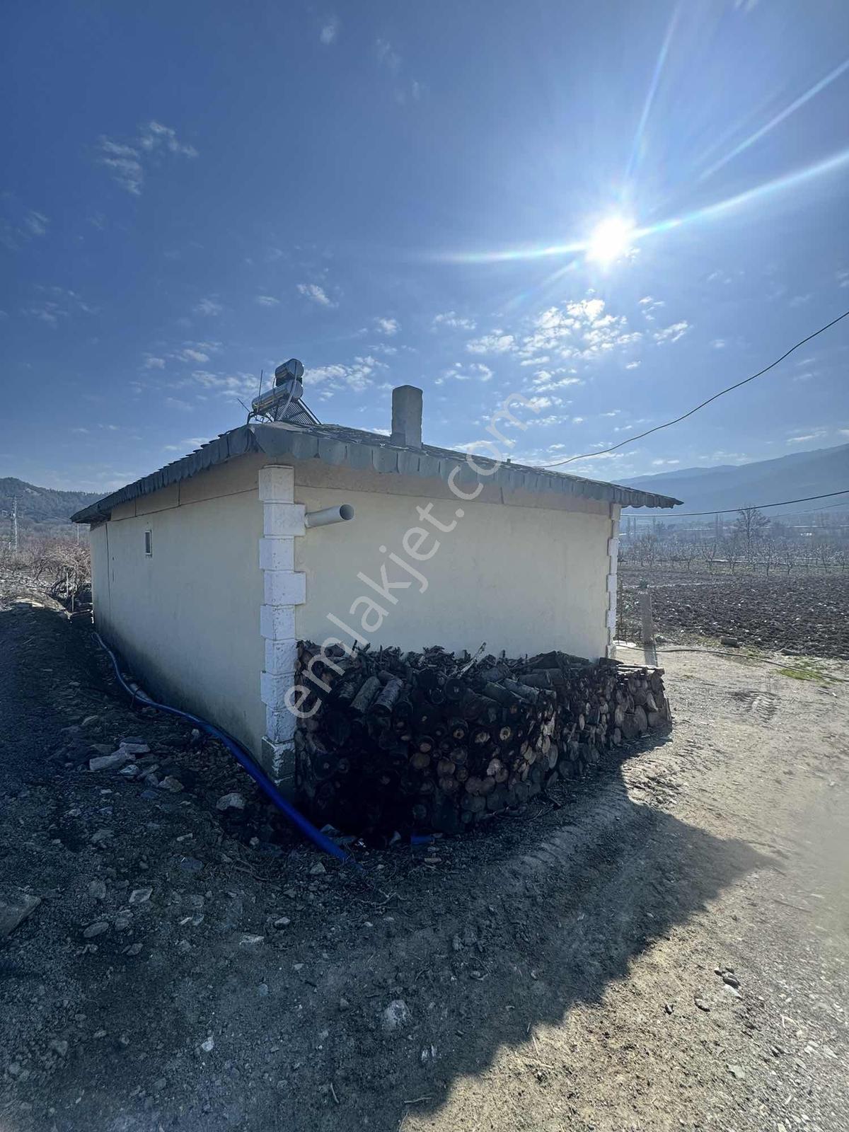 Marka Dan Sevincerde Ana Cadde Altında — fotoğraf 8