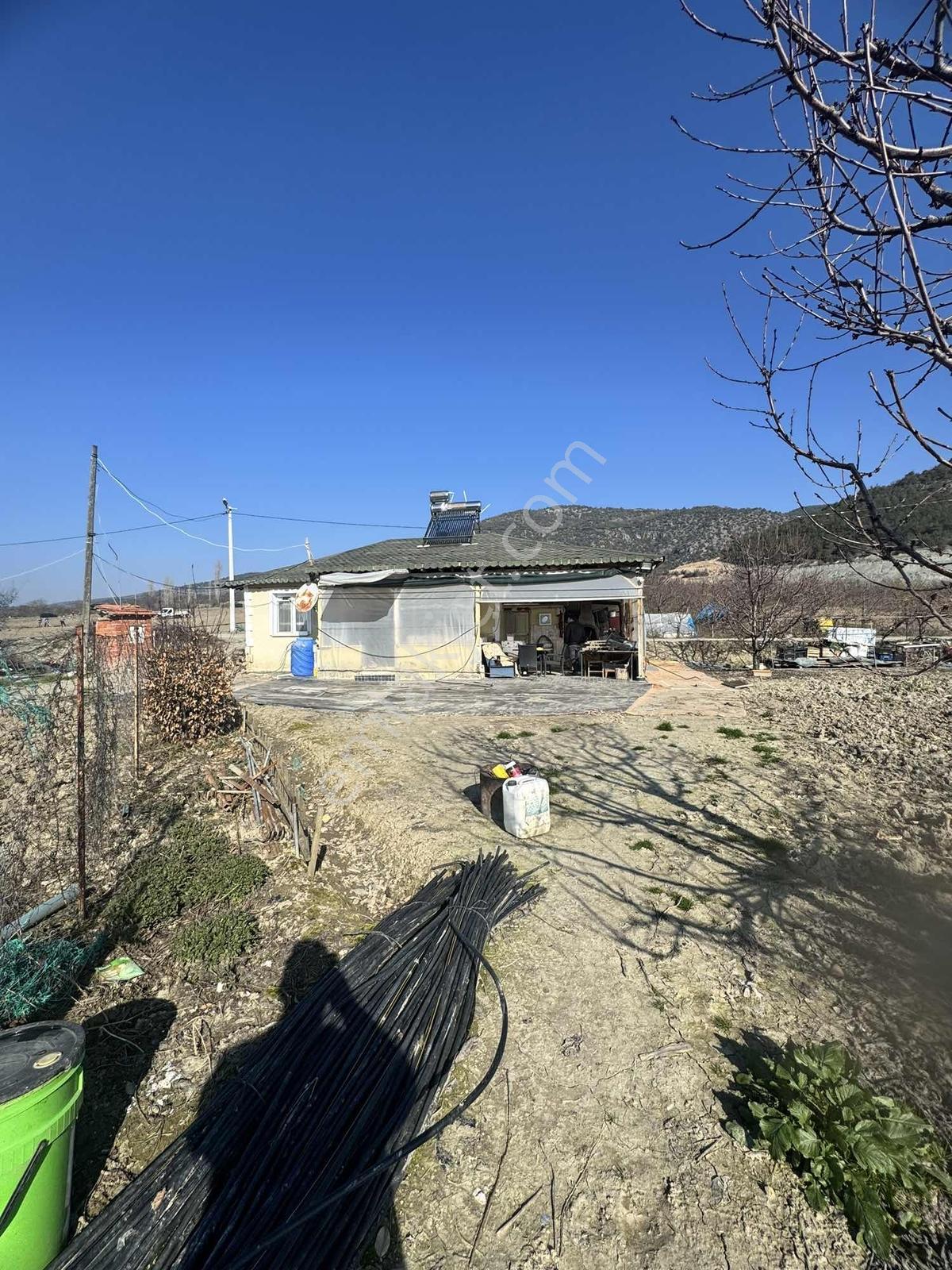 Marka Dan Sevincerde Ana Cadde Altında — fotoğraf 12