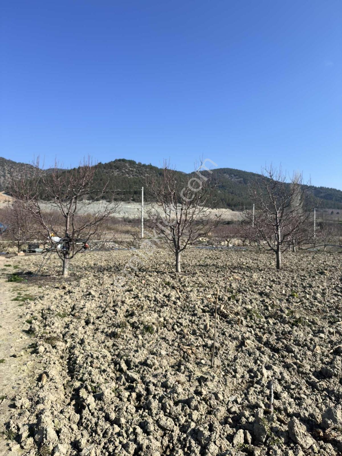 Marka Dan Sevincerde Ana Cadde Altında — fotoğraf 13