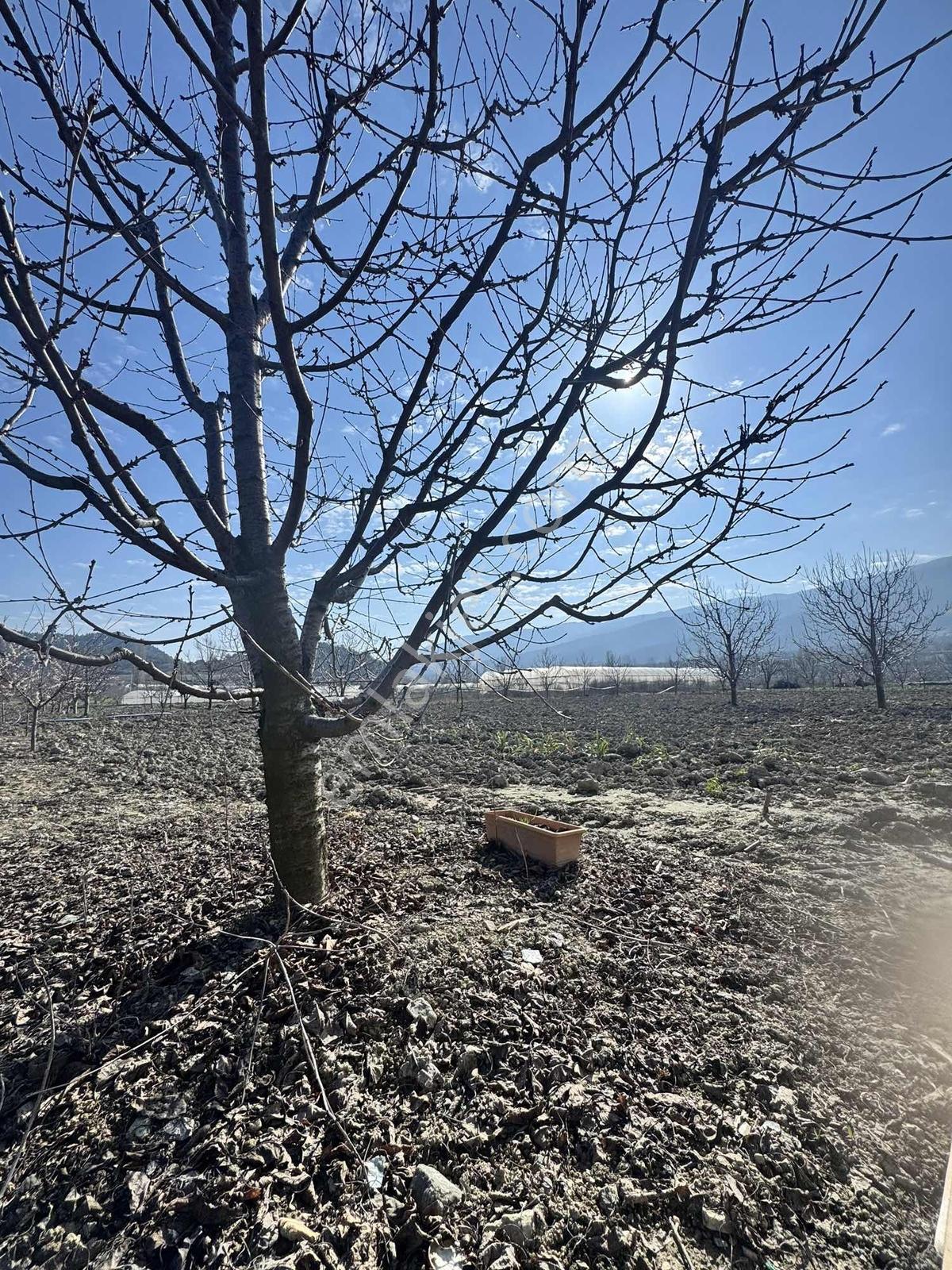 Marka Dan Sevincerde Ana Cadde Altında — fotoğraf 21