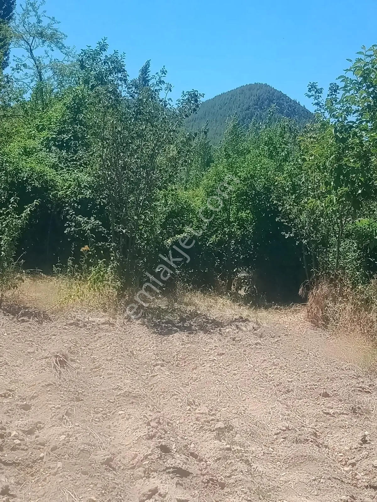 Saimbeyli/Gürleşen'De Satılık Köy İçi Tek Tapu Arsa