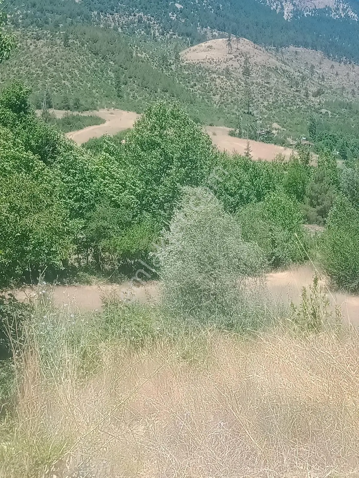 Saimbeyli/gürleşen'de Satılık Köy İçi Tek Tapu Arsa — fotoğraf 2