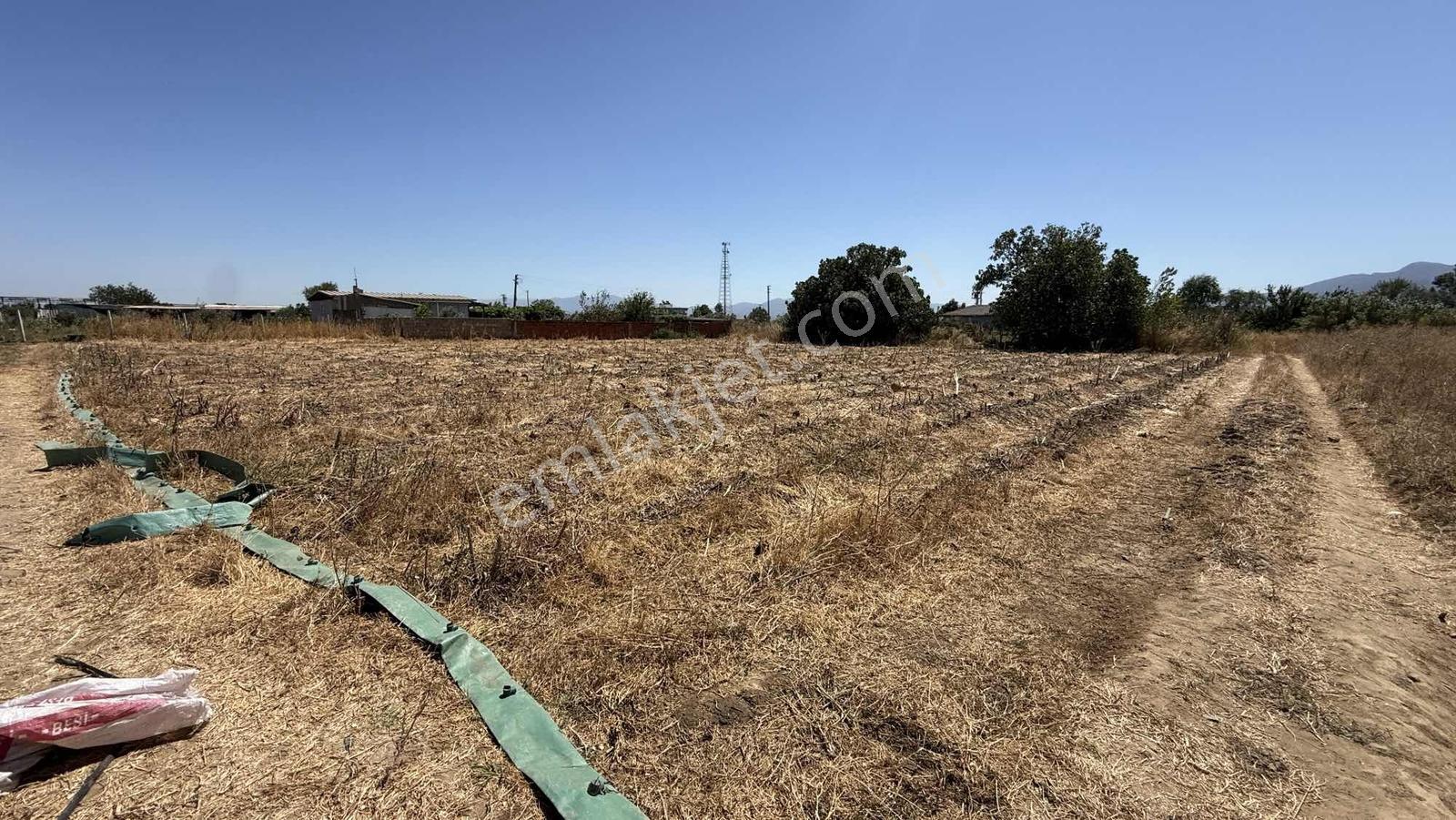 Torbalı Eğercide Köyiçinde 2020 M2 Satılık Tarla