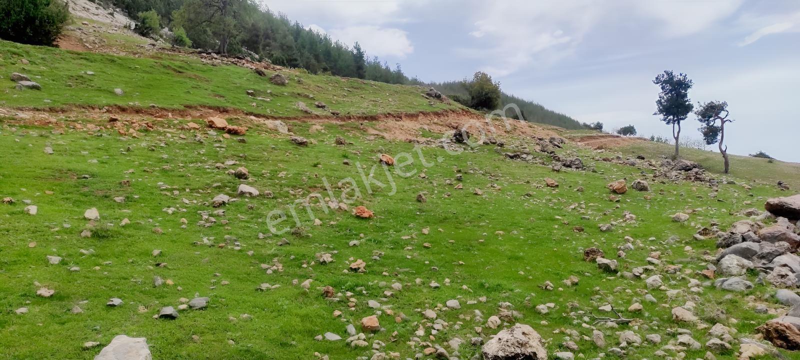 Ethereal'den Tarsus Olukkoyağı'nda 803m+ Satılık Arsa — fotoğraf 2