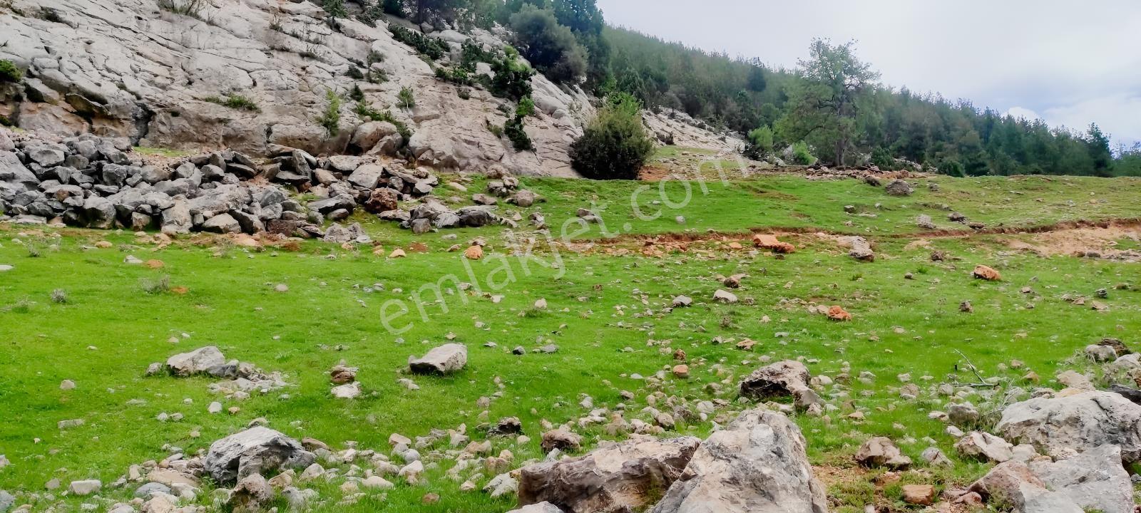 Ethereal'den Tarsus Olukkoyağı'nda 803m+ Satılık Arsa — fotoğraf 4