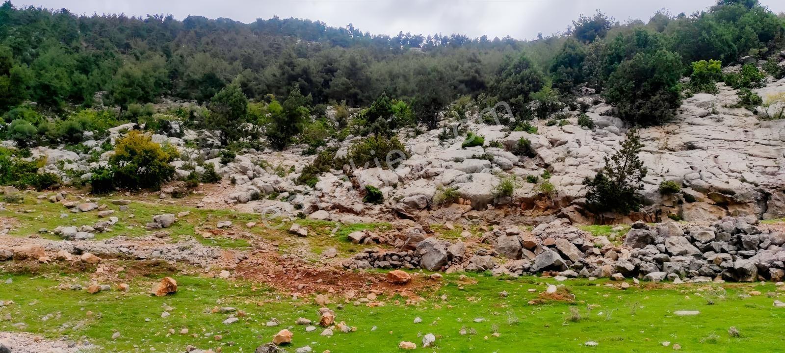 Ethereal'den Tarsus Olukkoyağı'nda 803m+ Satılık Arsa — fotoğraf 12
