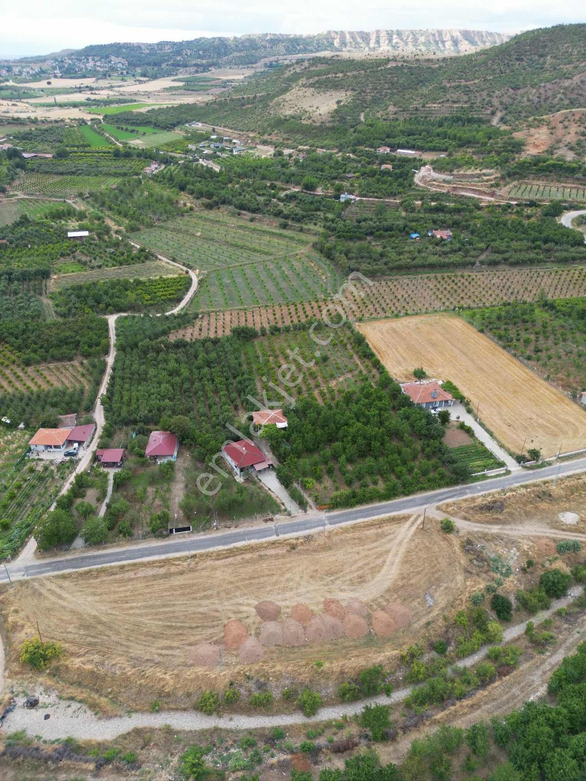 Marka Emlaktan Değirmendere'de Satılık Fırsat 10 Dönüm Tarla — fotoğraf 2