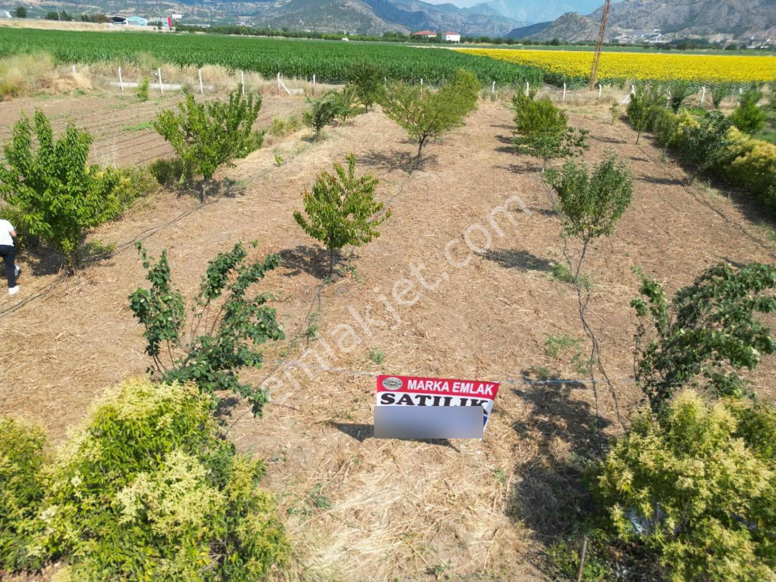 Marka Emlak'Tan Suluova Doğakent'Te Satılık Hobi Bahçesi