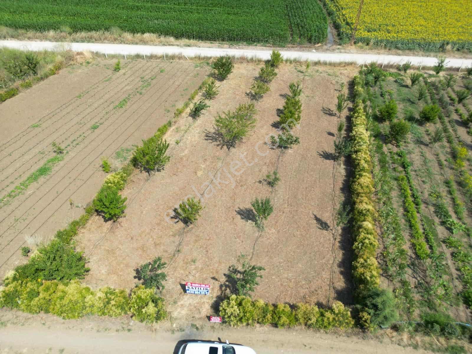 Marka Emlak'tan Suluova Doğakent'te Satılık Hobi Bahçesi — fotoğraf 2