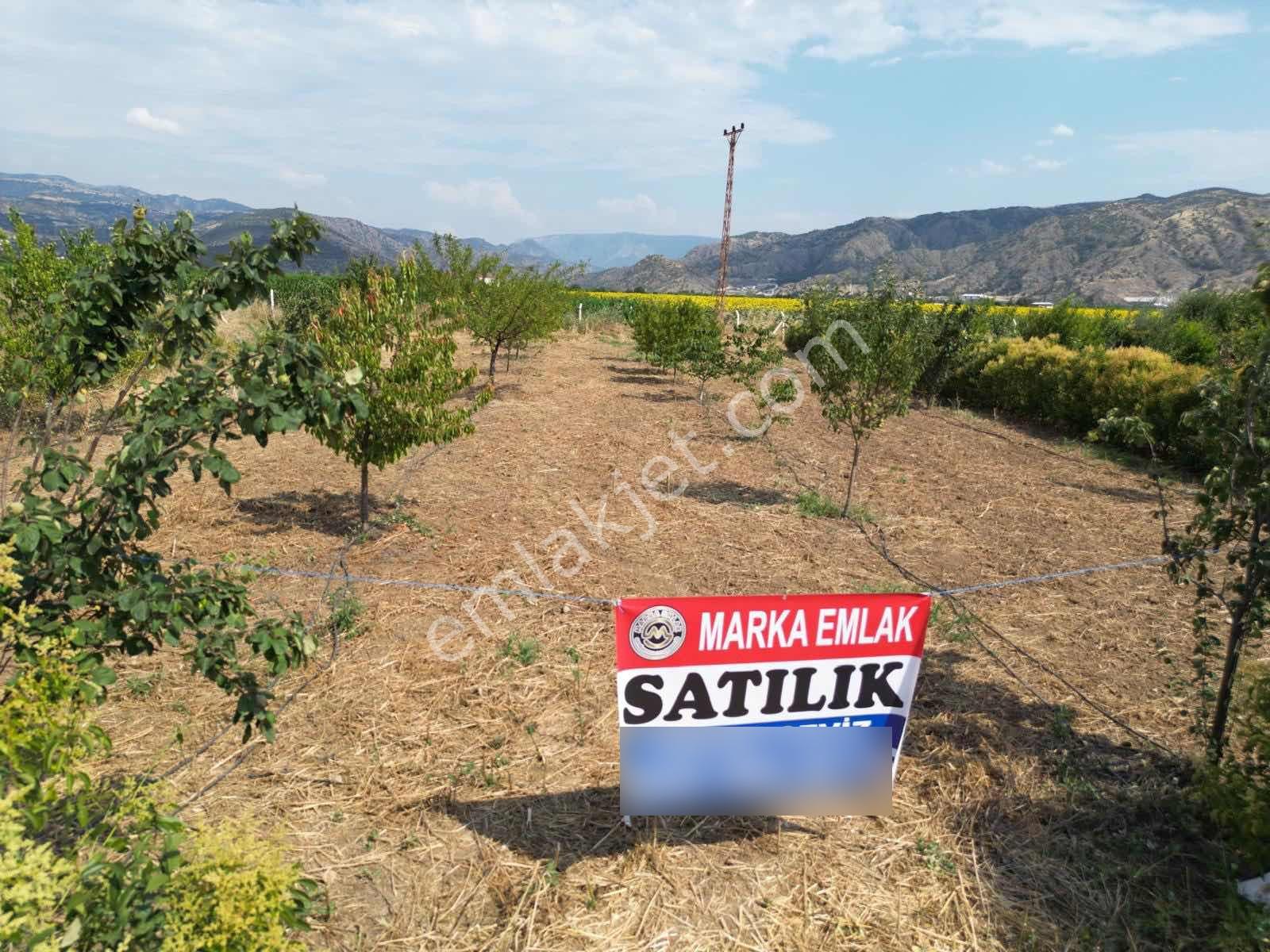 Marka Emlak'tan Suluova Doğakent'te Satılık Hobi Bahçesi — fotoğraf 3