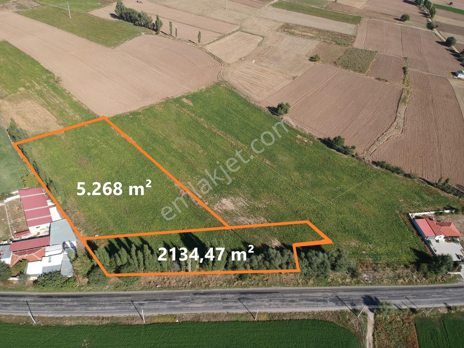 İlbey / Şuhut - Karaadilli Ana Yolunda 7.402 M² Tarla