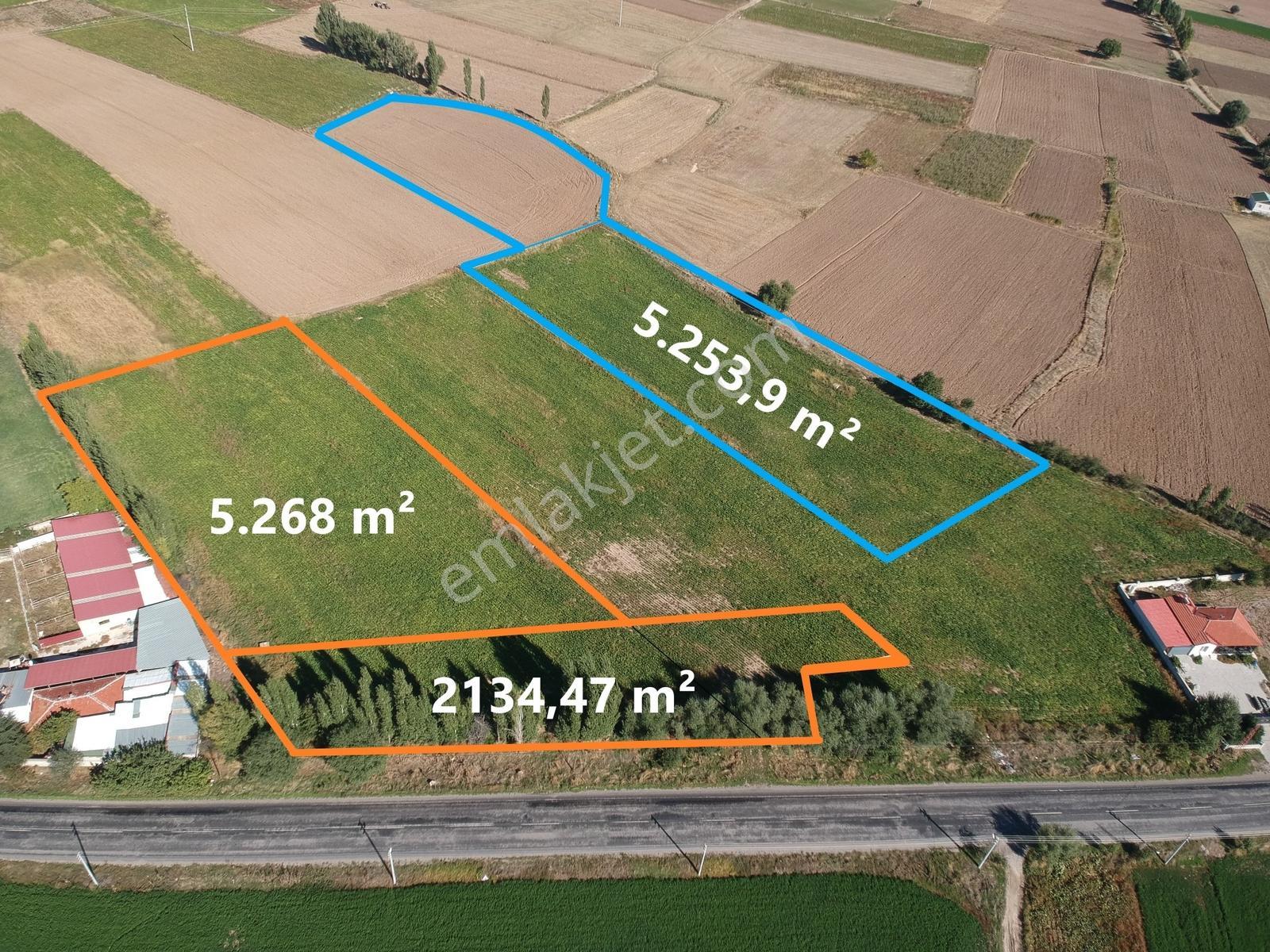 İlbey / Şuhut - Karaadilli Ana Yolunda 7.402 M² Tarla — fotoğraf 2