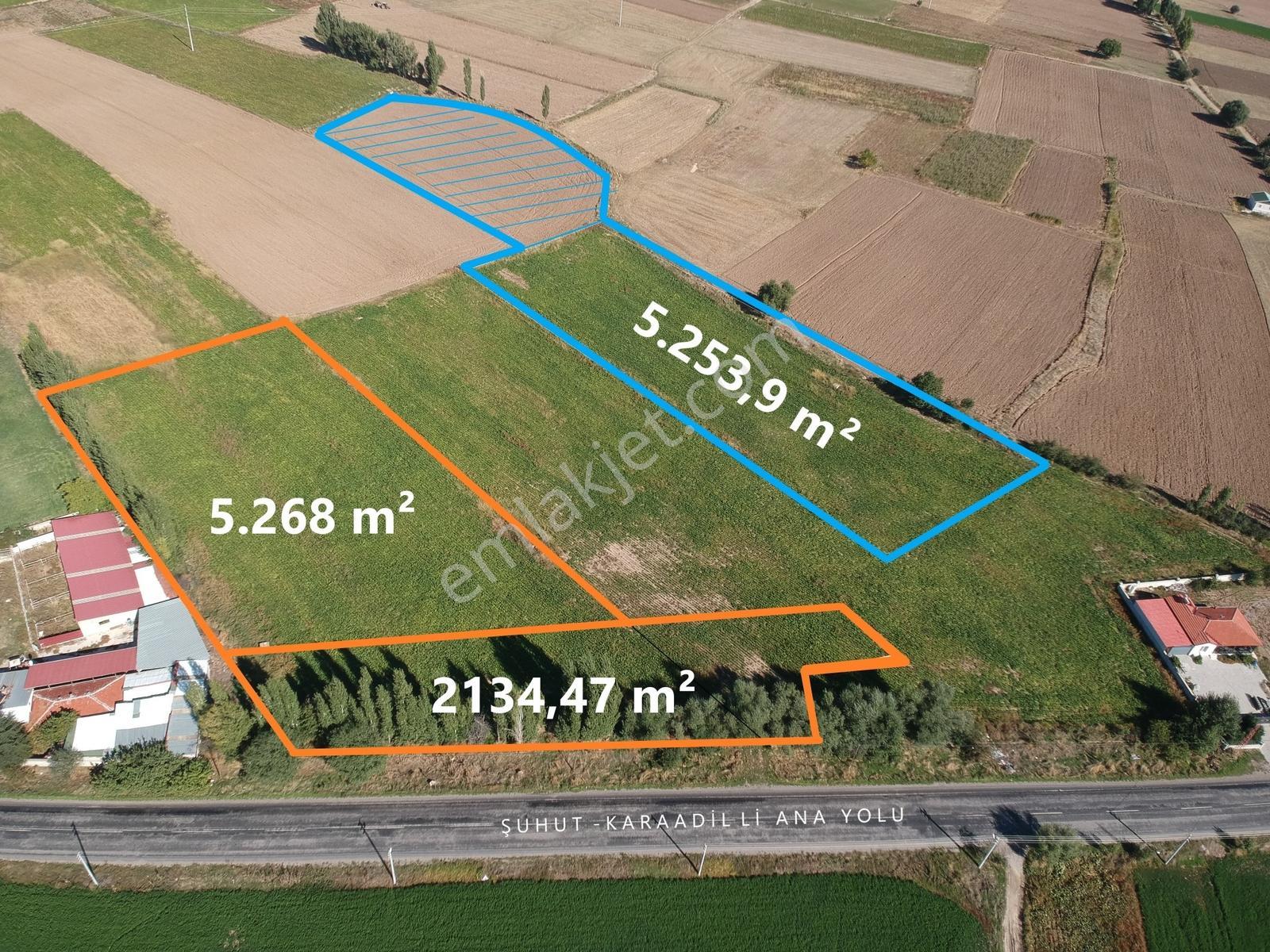 İlbey / Şuhut - Karaadilli Ana Yolunda 7.402 M² Tarla — fotoğraf 3