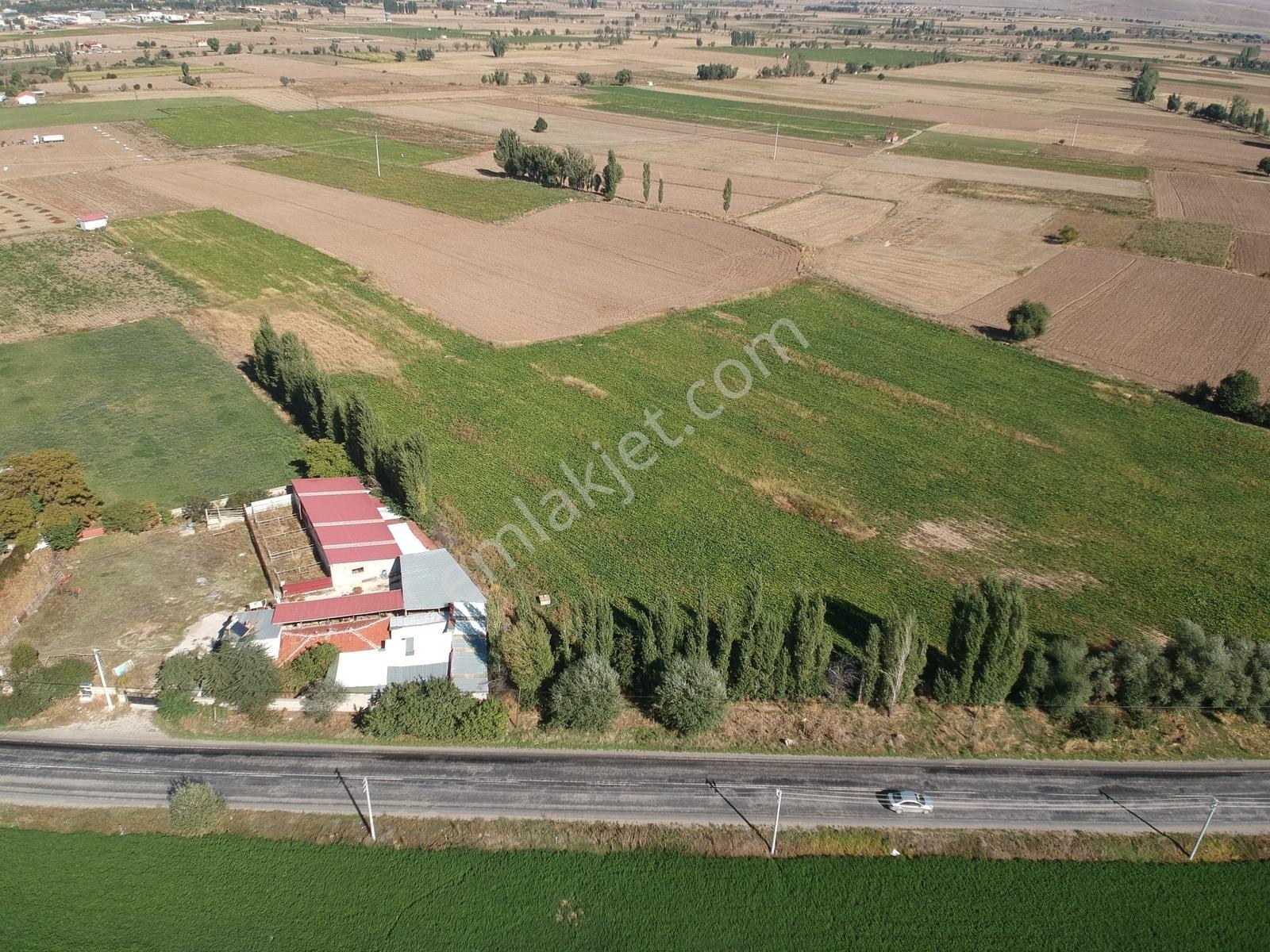 İlbey / Şuhut - Karaadilli Ana Yolunda 7.402 M² Tarla — fotoğraf 4