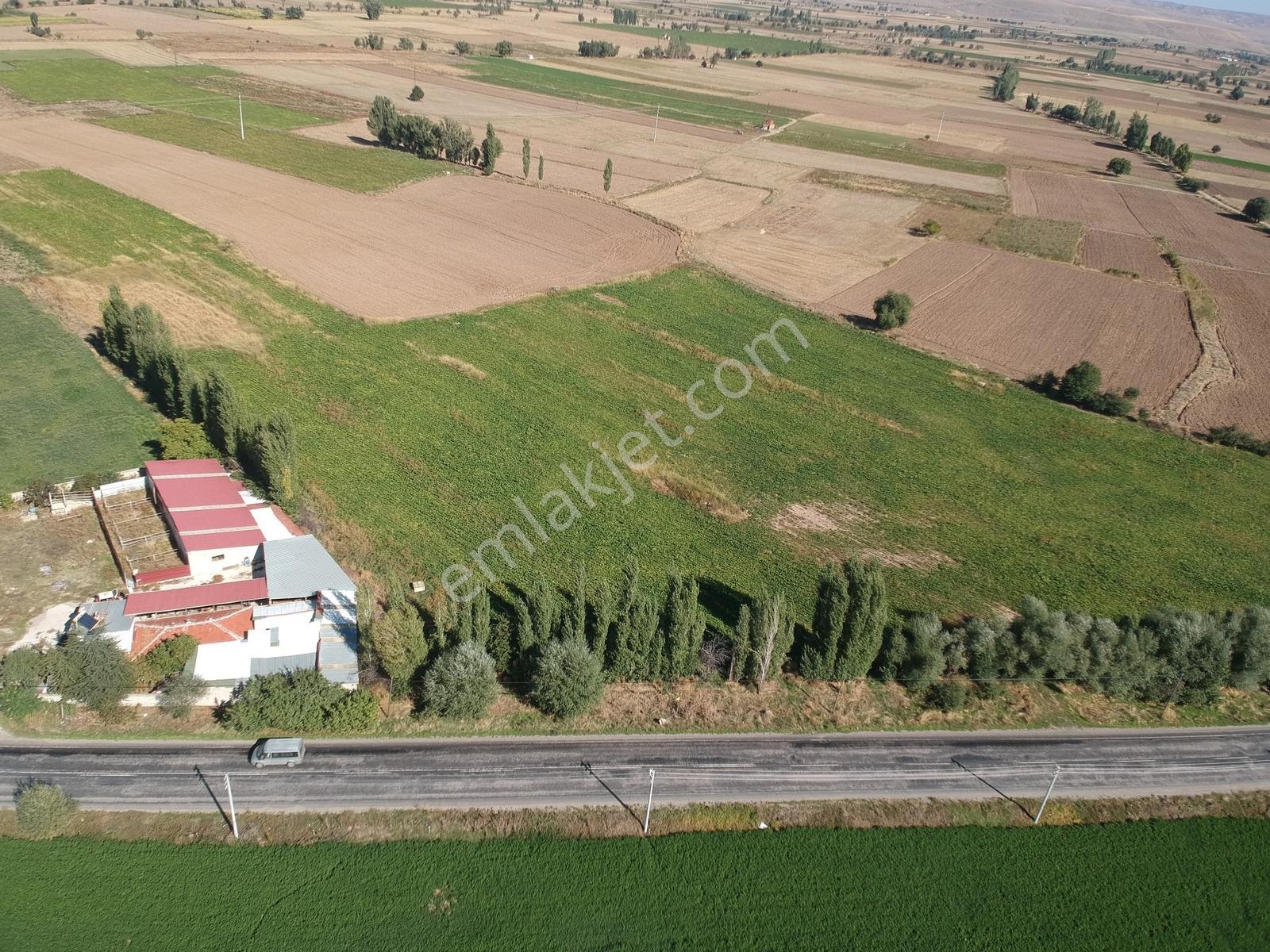 İlbey / Şuhut - Karaadilli Ana Yolunda 7.402 M² Tarla — fotoğraf 5