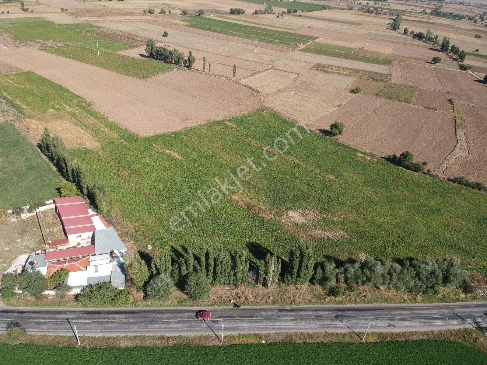 İlbey / Şuhut - Karaadilli Ana Yolunda 7.402 M² Tarla — fotoğraf 7