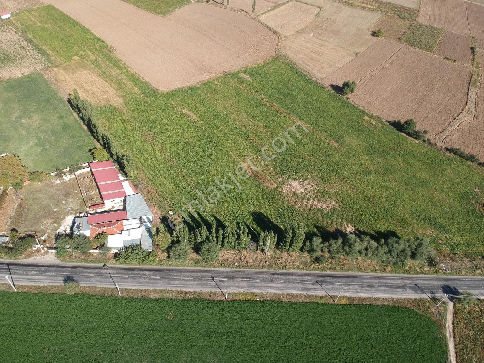 İlbey / Şuhut - Karaadilli Ana Yolunda 7.402 M² Tarla — fotoğraf 8