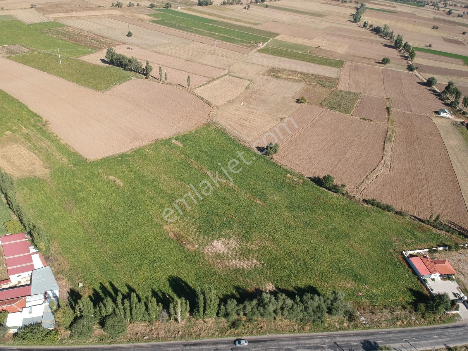 İlbey / Şuhut - Karaadilli Ana Yolunda 7.402 M² Tarla — fotoğraf 15