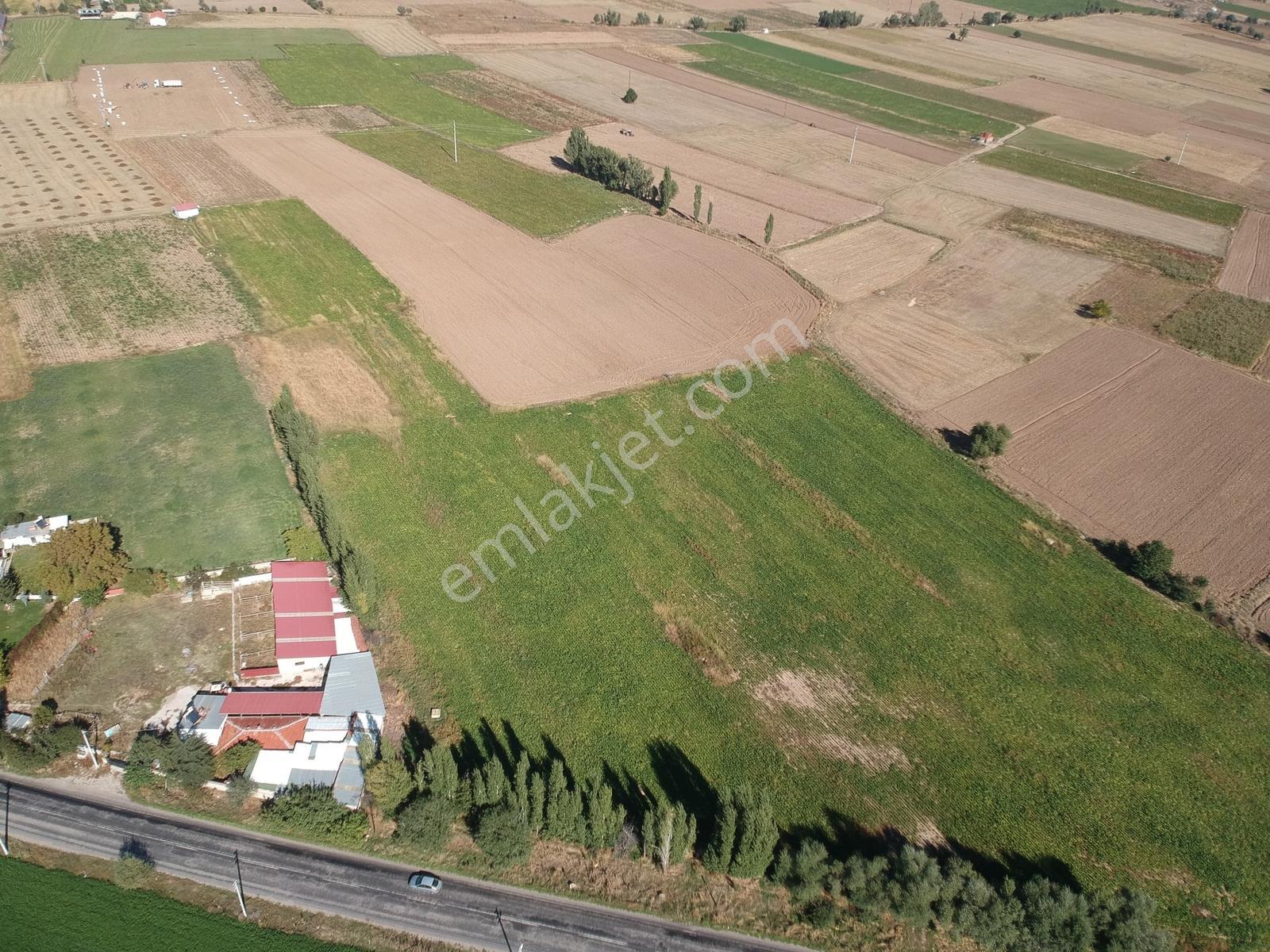 İlbey / Şuhut - Karaadilli Ana Yolunda 7.402 M² Tarla — fotoğraf 16