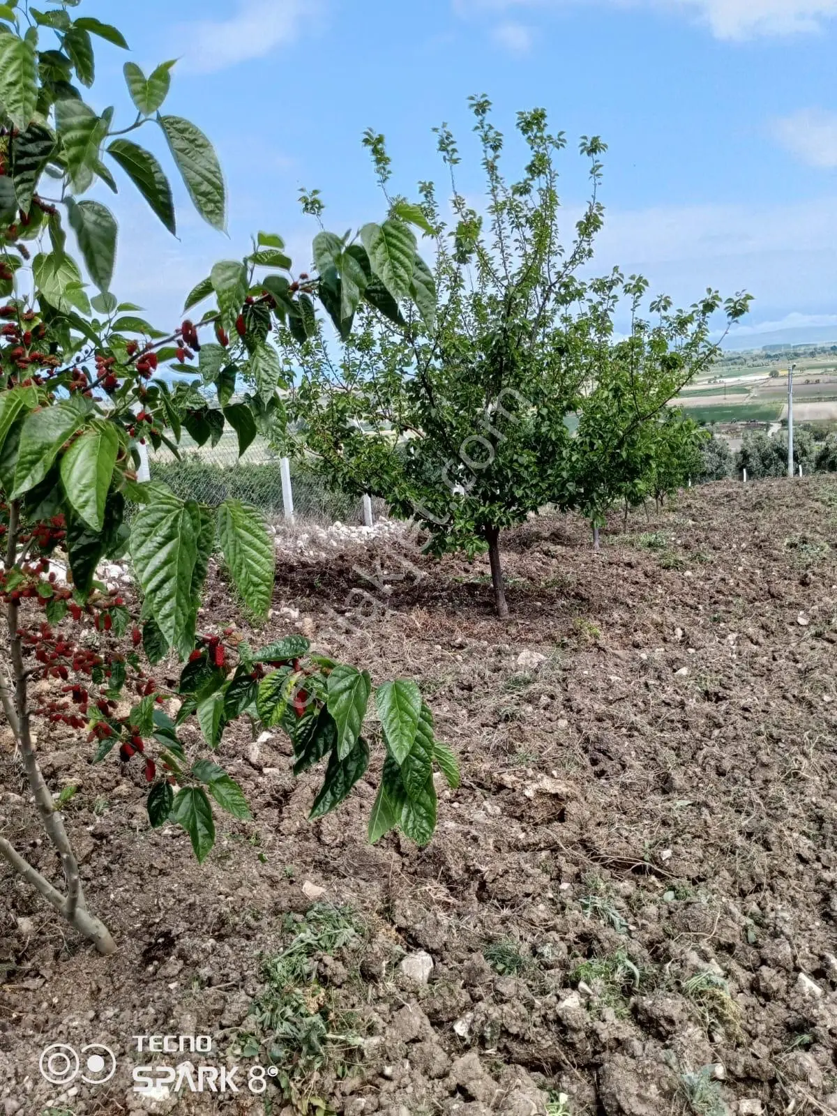 Göl Manzaralı Konut İmarlı Arsa