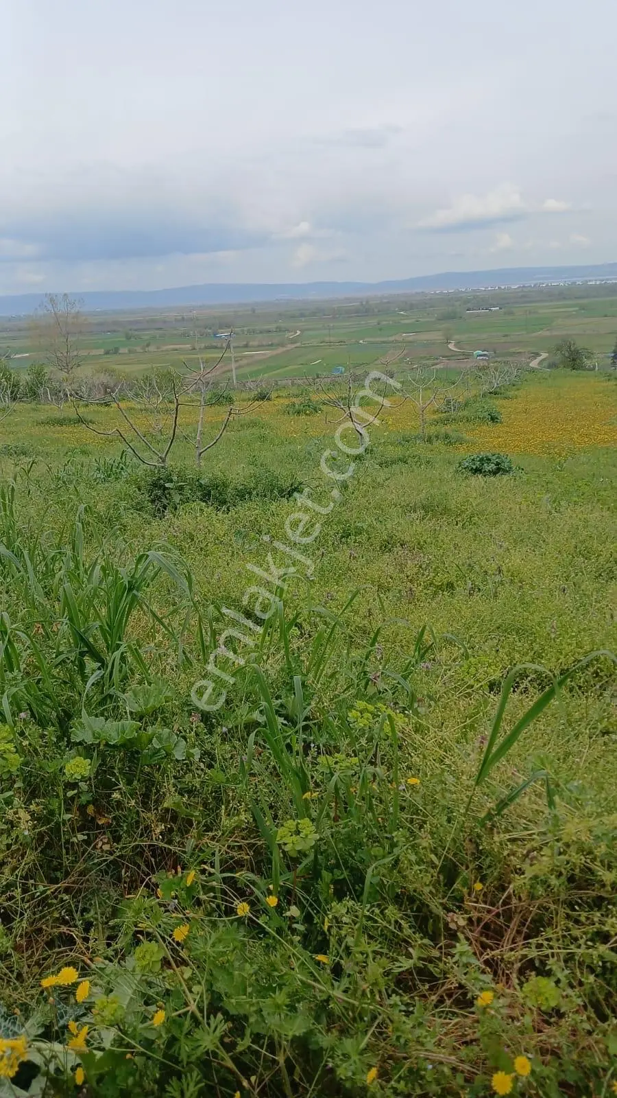 Göl Manzaralı Konut İmarlı Arsa — fotoğraf 2
