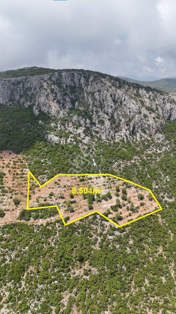 Satılık 8.504 M² Manzaralı Tarla - Alanya-yenice — fotoğraf 2
