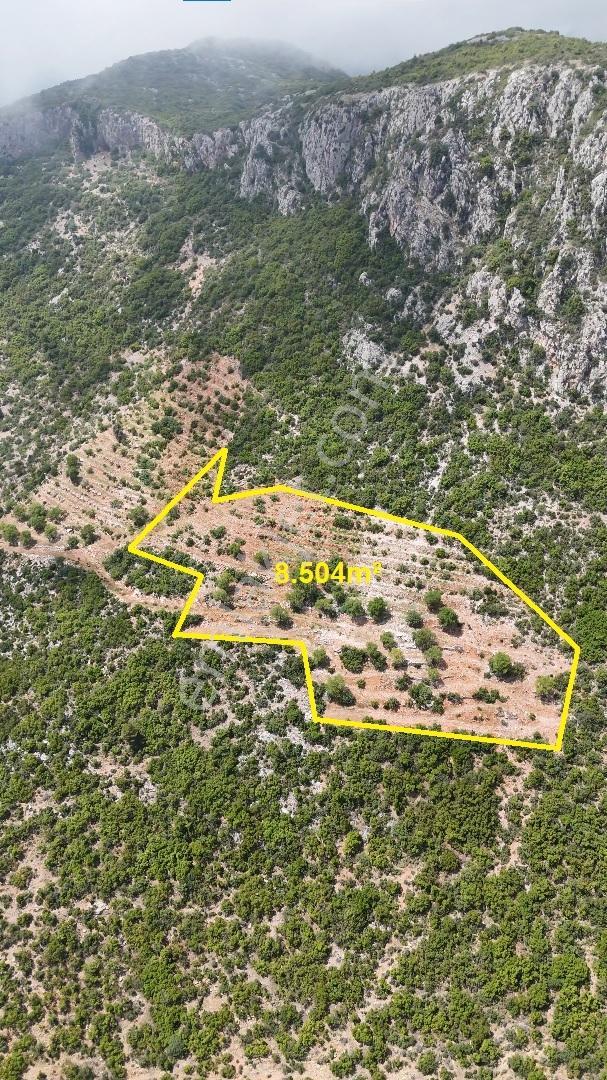 Satılık 8.504 M² Manzaralı Tarla - Alanya-yenice — fotoğraf 3