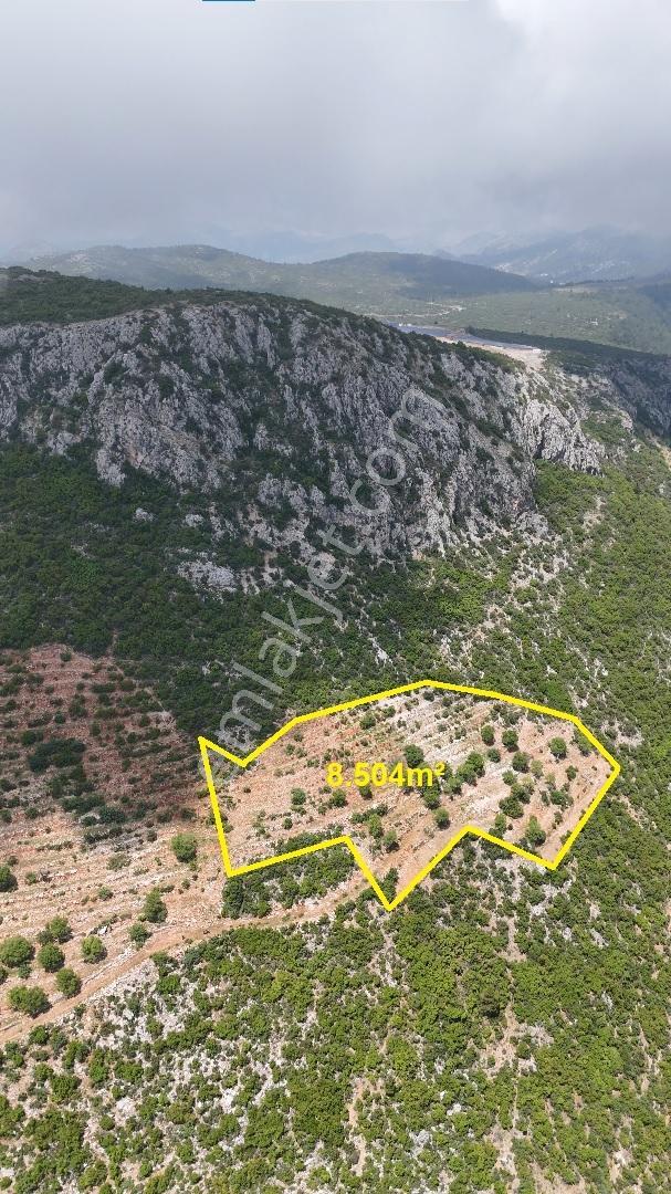 Satılık 8.504 M² Manzaralı Tarla - Alanya-yenice — fotoğraf 4
