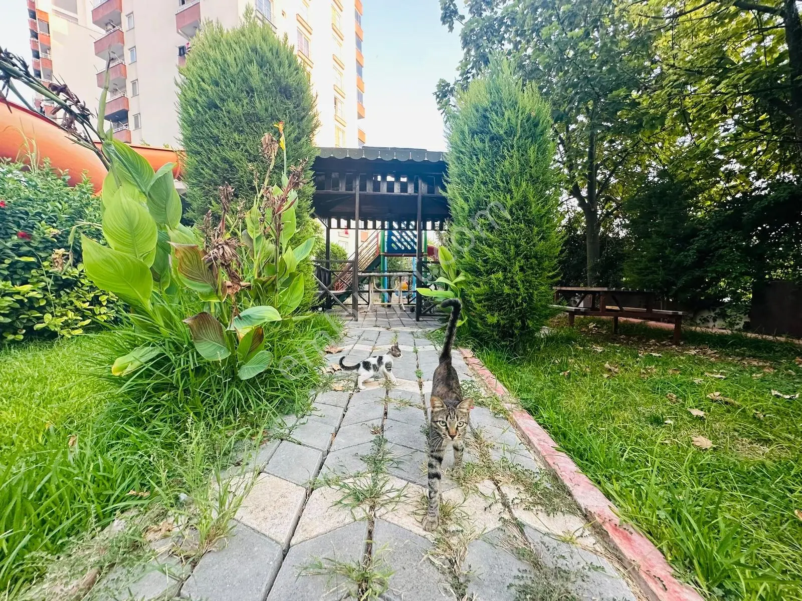 Ethereal'den Tece'de Deniz Manzaralı Kat Dubleks Aquaparklı 2+1 — fotoğraf 21