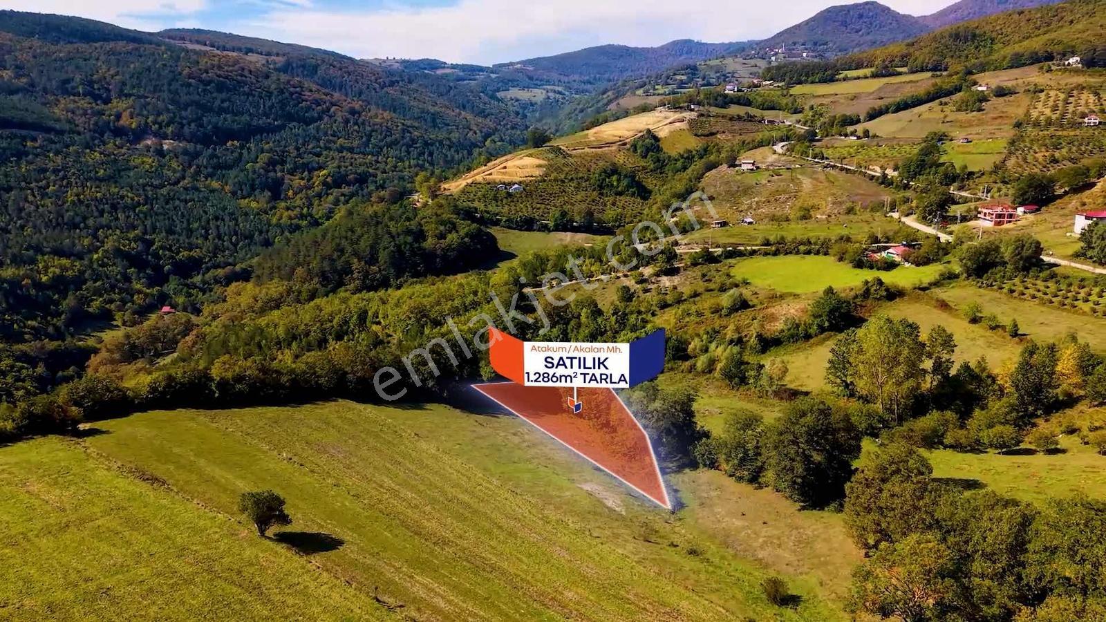 Samsun Atakum Akalan Mahallesinde 1.286 M² Satılık Tarla