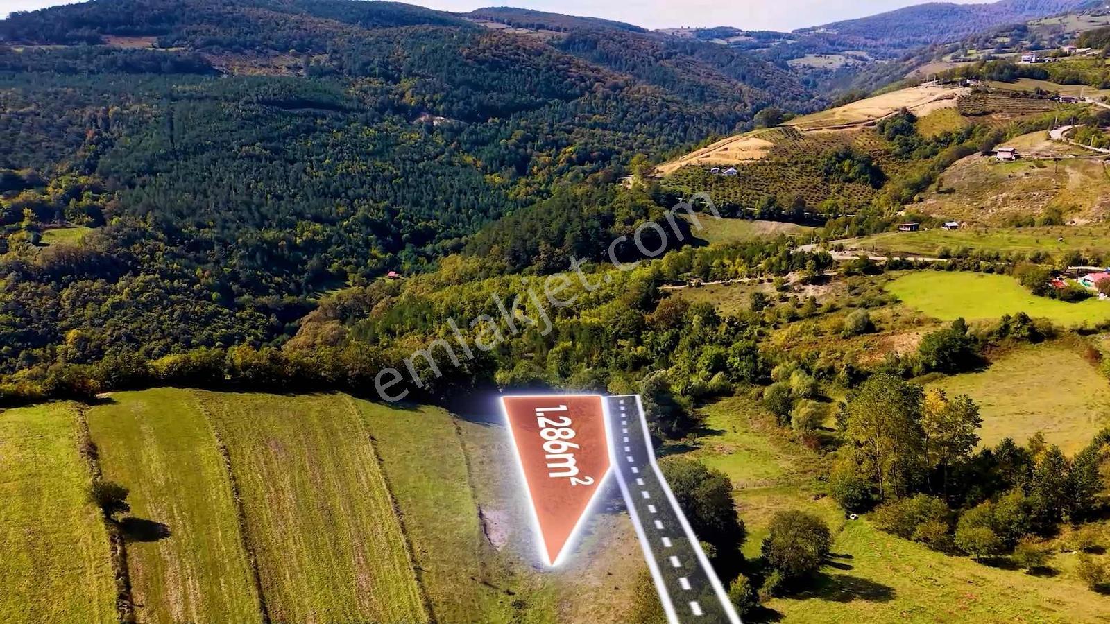Samsun Atakum Akalan Mahallesinde 1.286 M² Satılık Tarla — fotoğraf 3