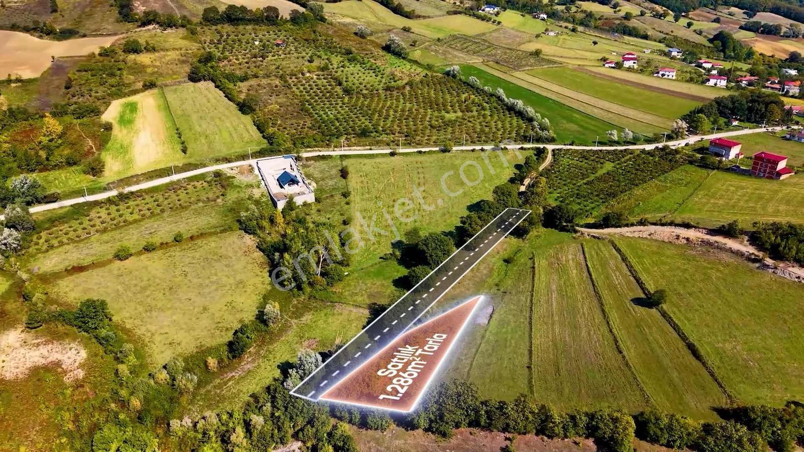 Samsun Atakum Akalan Mahallesinde 1.286 M² Satılık Tarla — fotoğraf 6