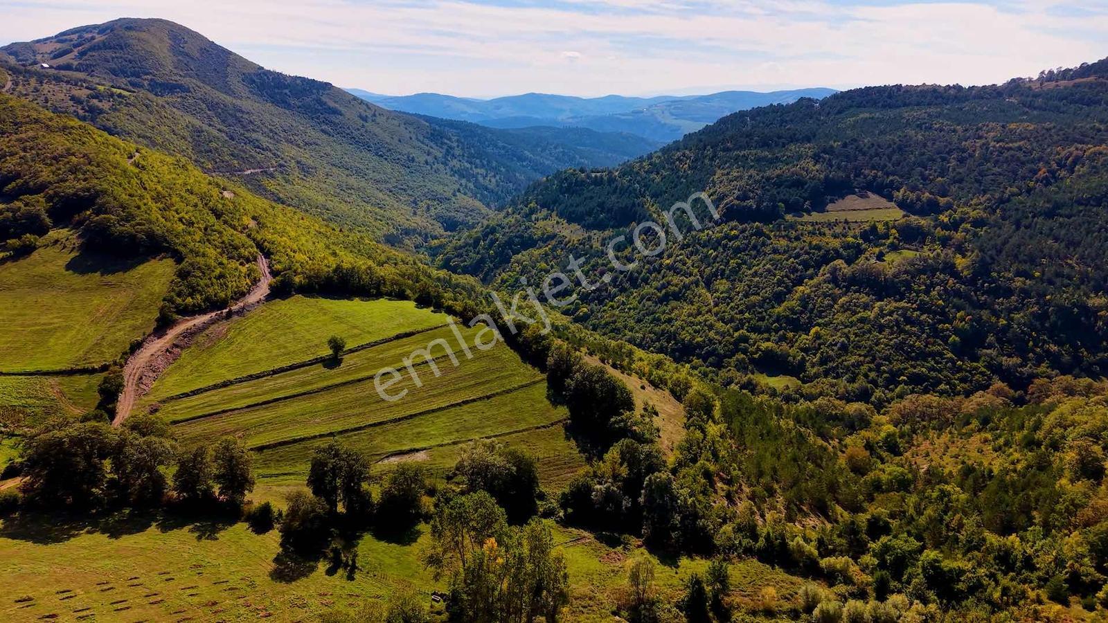 Samsun Atakum Akalan Mahallesinde 1.286 M² Satılık Tarla — fotoğraf 9