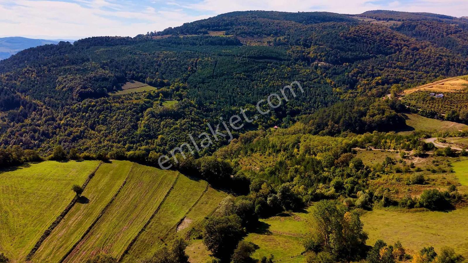 Samsun Atakum Akalan Mahallesinde 1.286 M² Satılık Tarla — fotoğraf 11