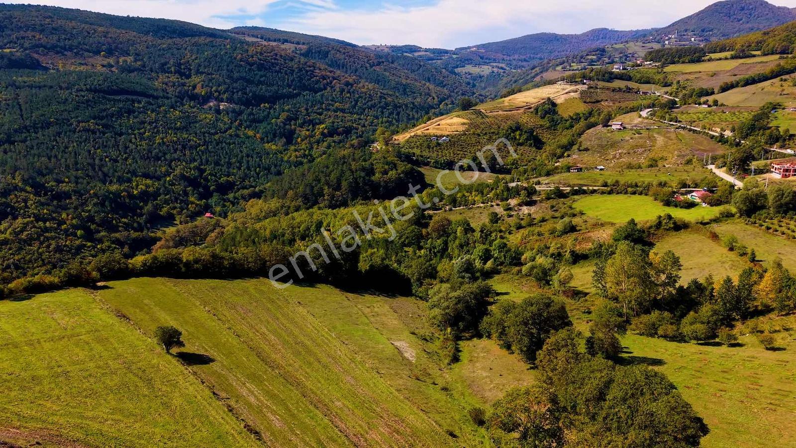 Samsun Atakum Akalan Mahallesinde 1.286 M² Satılık Tarla — fotoğraf 12