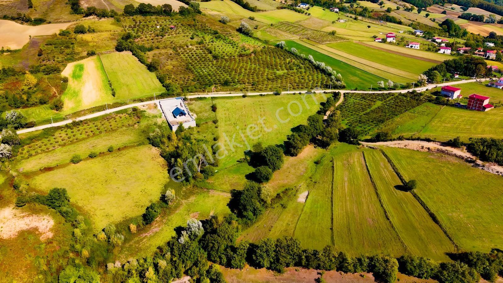 Samsun Atakum Akalan Mahallesinde 1.286 M² Satılık Tarla — fotoğraf 15